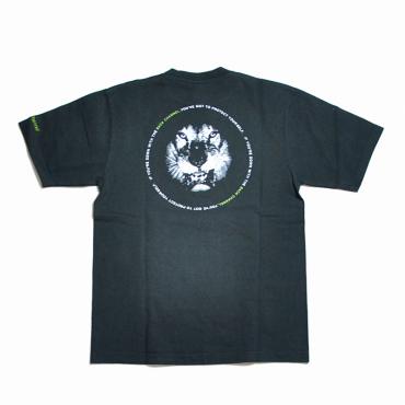 BC LION T *ブラック*