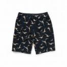 BIRD SURF SHORT *ブラック*