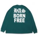 HAS L/S Tee *グリーン*