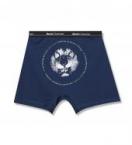 BC LION UNDERWEAR / NAVY