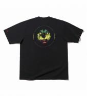 RASTA BC LION T